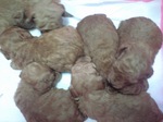 CA3901静岡県富士市のペットショップ仔犬の家Poccke トイプードル-2.JPG48.JPG